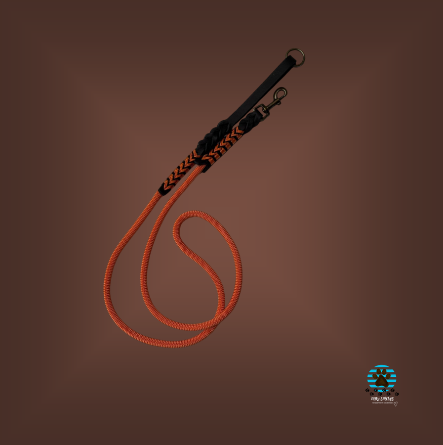 hondenlijnen met een handvat van leer