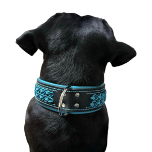 Cane